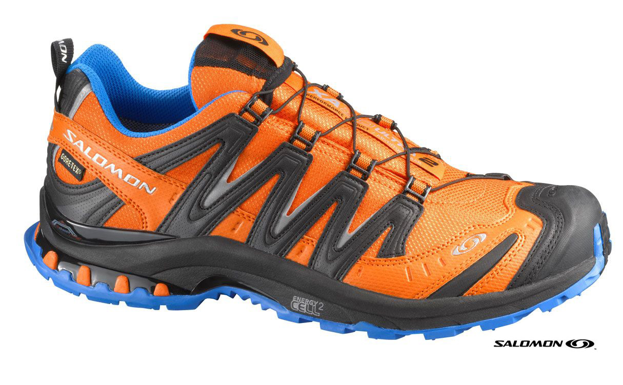 Chaussures Salomon