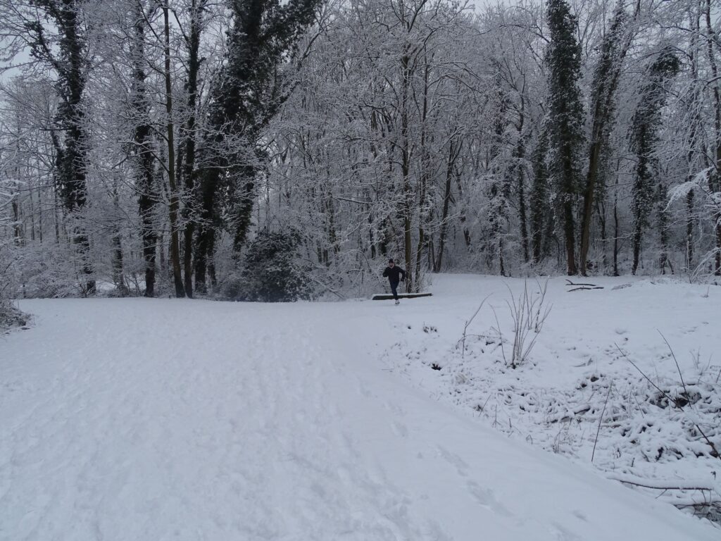 Coureuse progressant sur un sentier enneigé au milieu d'une forêt hivernale