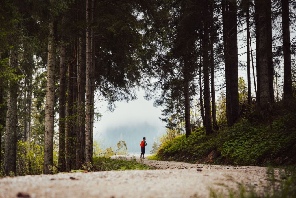 Randonneur seul progressant sur un sentier forestier de moyenne montagne en été.