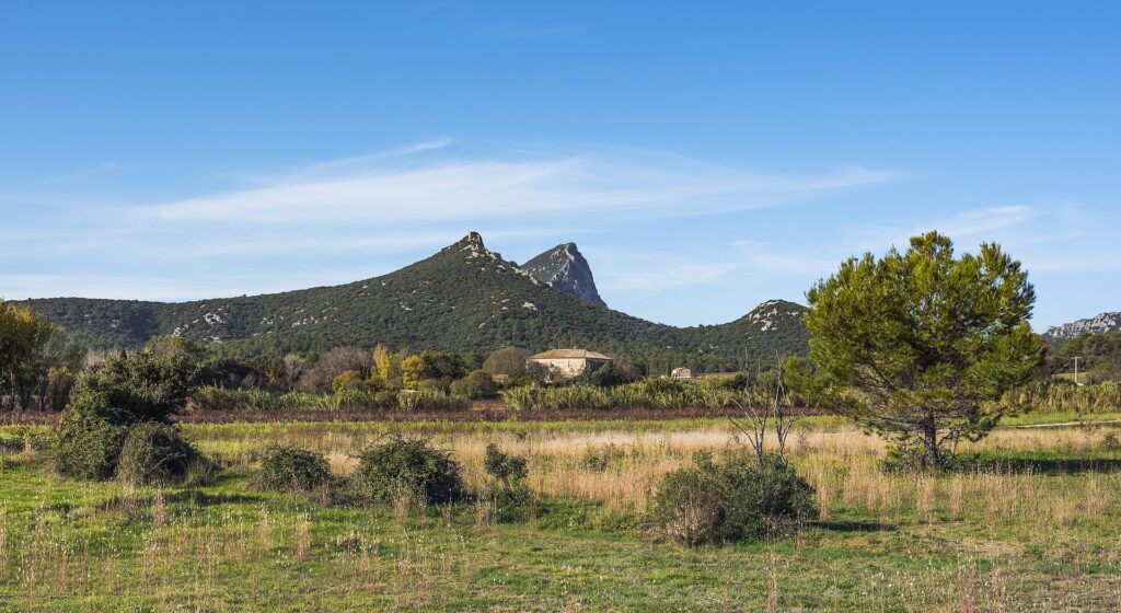 Le Pic Saint-Loup vu depuis Saint-Mathieu-de-Tréviers, dans l’Hérault.