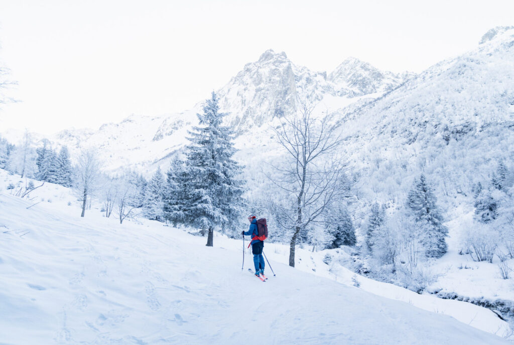 Randonneur seul sur un large chemin enneigé bordé de sapins couverts de neige